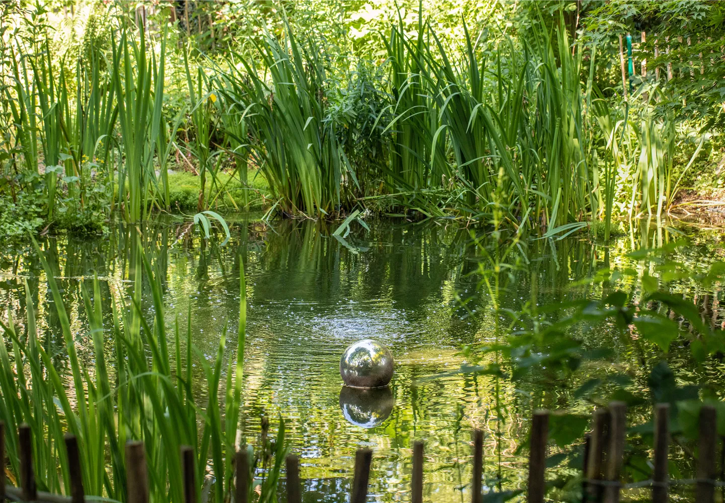 Teich im Garten