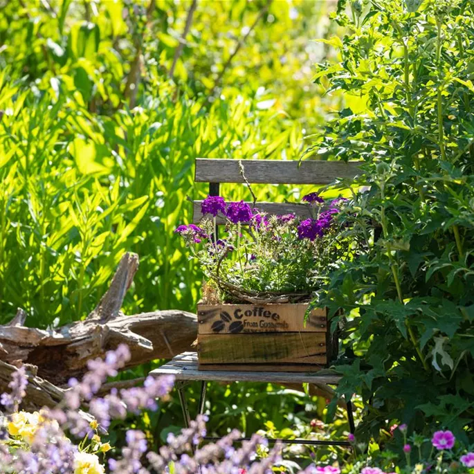 Gartenambiente